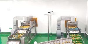 Automatic Fruit Juice Processing Plant
