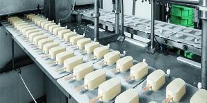 Ice Cream Making Plant