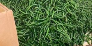 Green Chilli