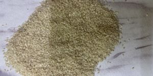 white sundry sesame seeds