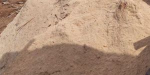 Wood Saw Dust Powder