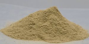 Hadjod Powder