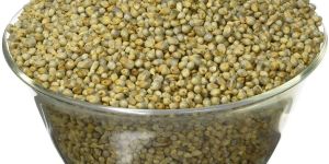 Organic Pearl Millet Grain