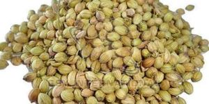 Coriander Seeds