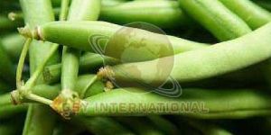 Fresh French Beans