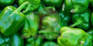 Fresh Green Capsicum