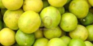 Fresh Lemon