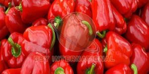 Fresh Red Capsicum