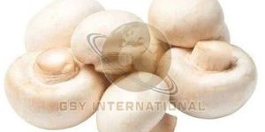 Fresh White Button Mushroom