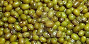 Whole Green Moong Dal