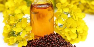 Mustard Oil