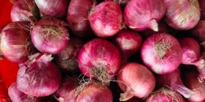 Red Onions