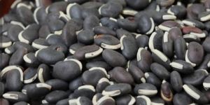 Black Lima Beans