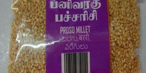 Natural Yellow Proso Millets