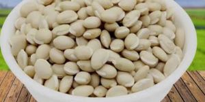 White Lima Beans