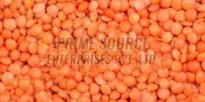 Whole Red Masoor Dal