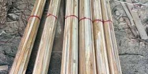 Teak Wood Margin Patti