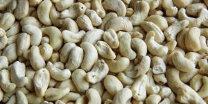 w320 Kaju Cashew Nut