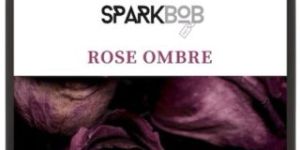 Sparkbob Essential Oil Blend Rose Ombre
