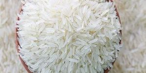 Baskathi Raw Non Basmati Rice