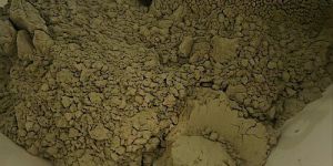 Dry Moringa Leaves Powder