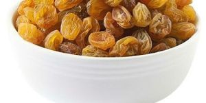 Dried Golden Raisins
