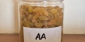 AA Grade Golden Raisins