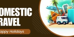 Domestic Tour Operators