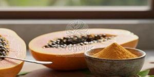 Dehydrated Ripe Papaya Powder