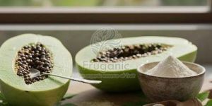 Dehydrated Unripe Papaya Powder