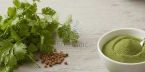 Spray Dried Coriander Powder