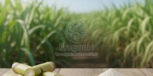 Spray Dried Sugarcane Powder