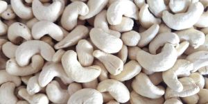 Cashew Nut