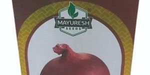500gm Phule Samarth Red Onion Seeds