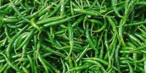 Green Chilli