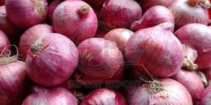 Fresh Red Onion