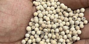 White Pepper
