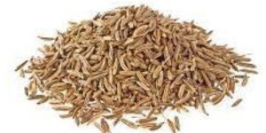 Cumin Seeds