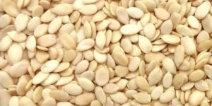 White Watermelon Seeds