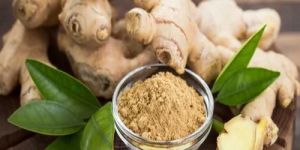 Dehydrated Ginger Powder