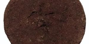 Puja Havan Cow Dung Cake