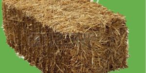 Rice Straw