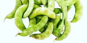 Green Val Papdi Bean