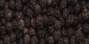 Black Pepper