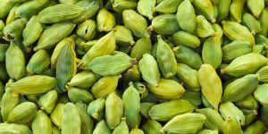 Culinary Green Cardamom
