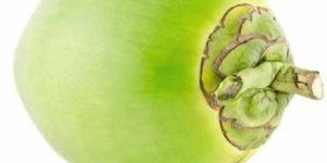 Whole Tender Coconut