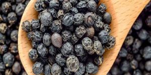 Black Pepper Seeds