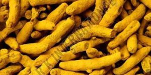 Turmeric Finger