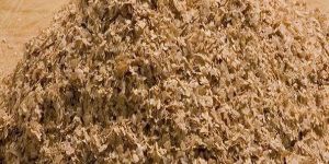 Wheat Bran
