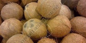 Fresh Mature Coconut